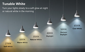 How to Choose the Right Light Bulbs for Your Chandelier: A Complete Guide