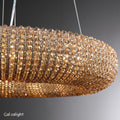 Halo Crystal Aperture Round Chandelier D59