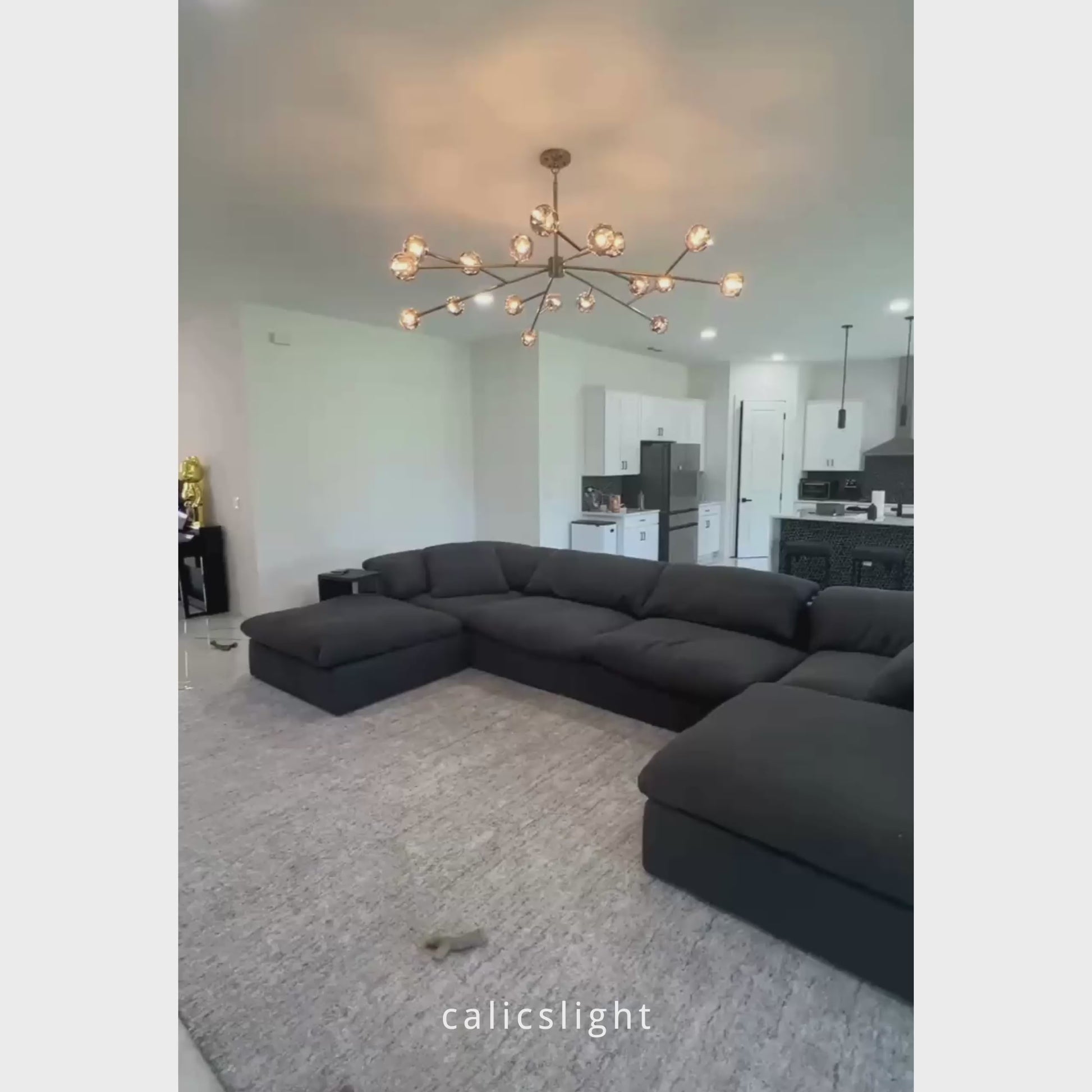 Boule De Cristal Clear Glass Round Chandelier 48"